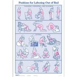 Childbirth Graphics-Kaart Bevalhoudingen